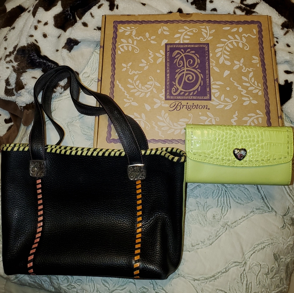 💫 Retired 💫 Brighton Tippi Pebble Bag & Wallet